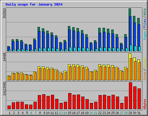 Daily usage for January 2024