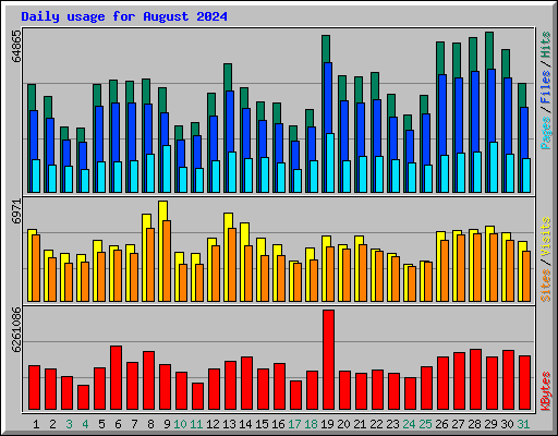 Daily usage for August 2024