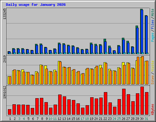 Daily usage for January 2026