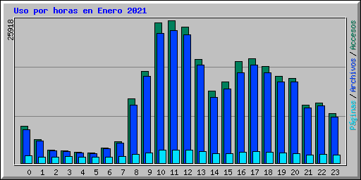 Uso por horas en Enero 2021