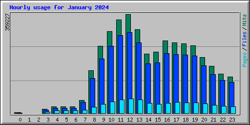 Hourly usage for January 2024