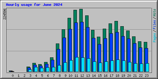 Hourly usage for June 2024