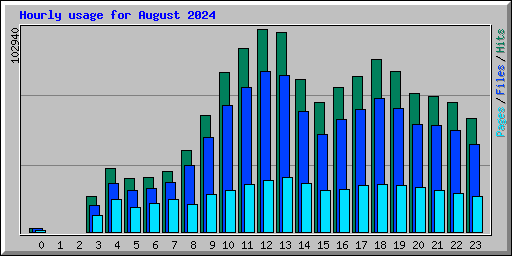 Hourly usage for August 2024