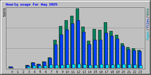 Hourly usage for May 2025