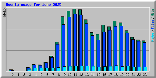 Hourly usage for June 2025