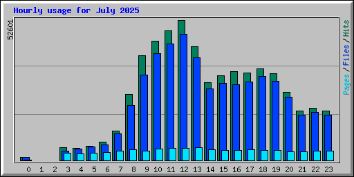 Hourly usage for July 2025