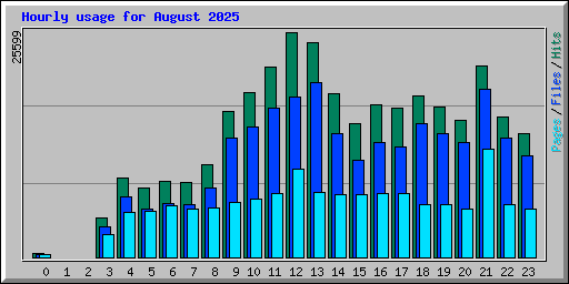 Hourly usage for August 2025