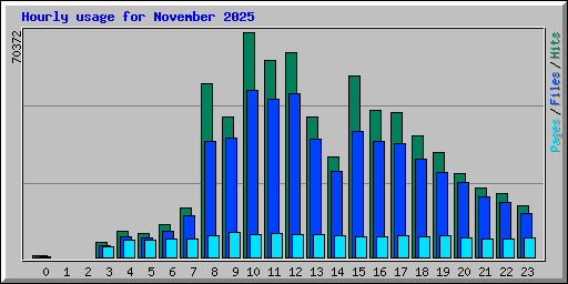 Hourly usage for November 2025