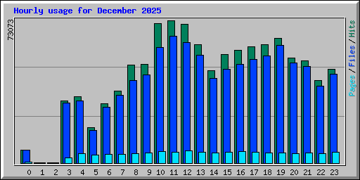 Hourly usage for December 2025