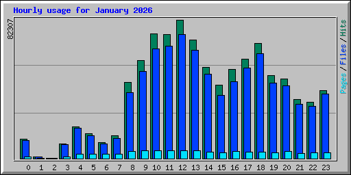 Hourly usage for January 2026