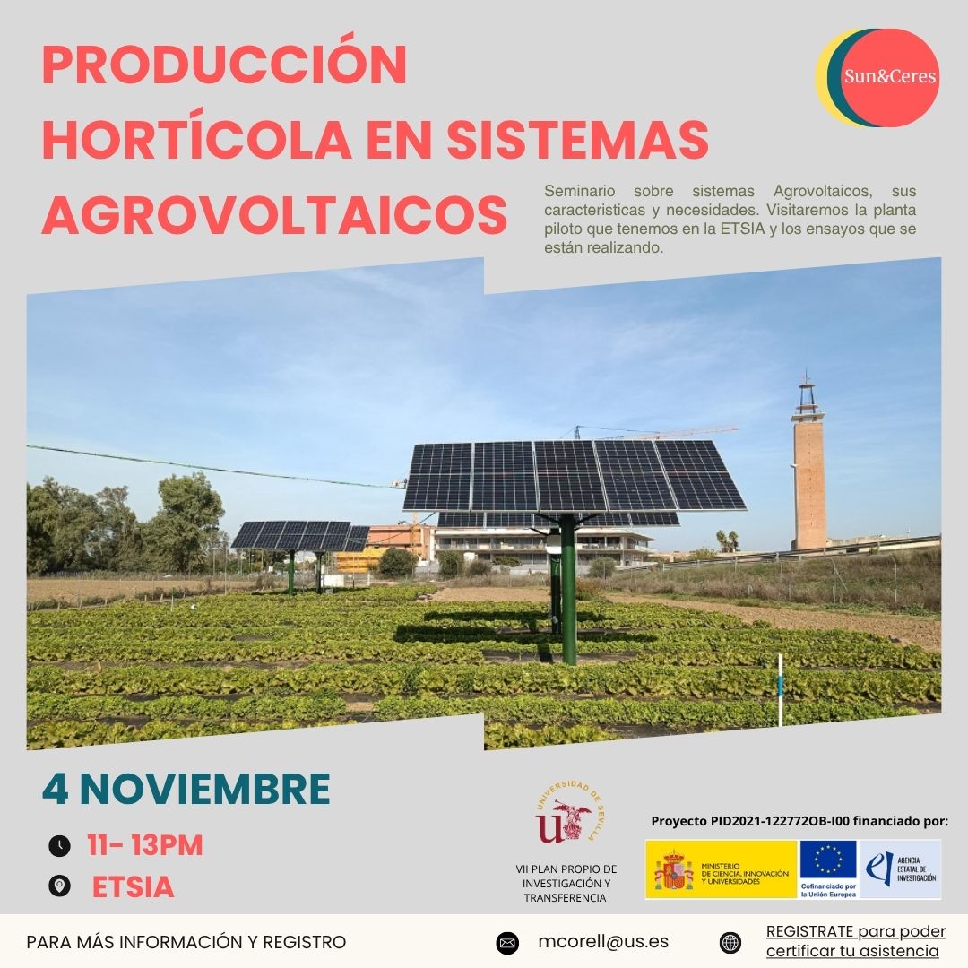 SEMINARIO