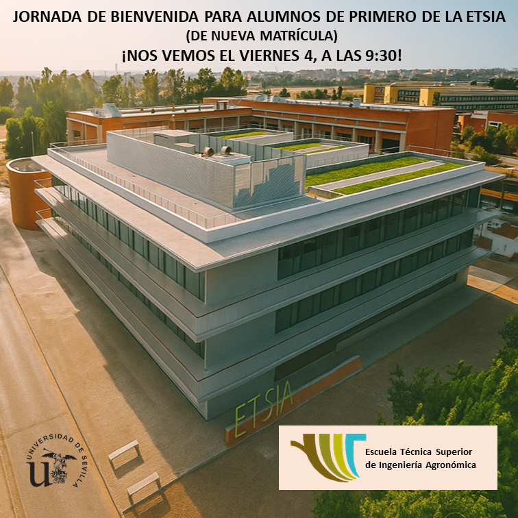 cartel